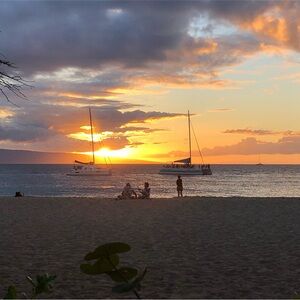 Meet your Posher, Rachelle